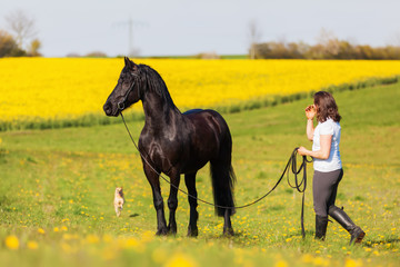 woman with a Friesian horse on a field