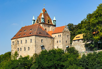 Fototapeta na wymiar Schloss Kuckuckstein in Liebstadt, Sachsen