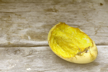 rotten ripe mango bitten by insect or squirrels on the wooden table.