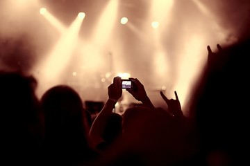 Concert Crowd View