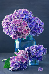 Beautiful purple hydrangea flowers close-up in a vase. A beautiful bouquet of flowers. 