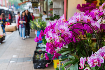 flower market in Hong Kong