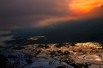 Landscape with sunrise with rice terraced in Yunnan China