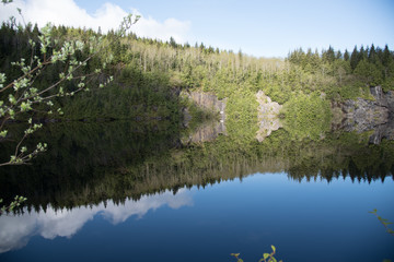 Reflection