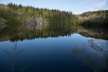 Reflection