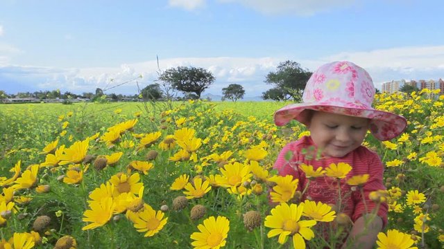 Small child playing in a meadow full of flowers. Near Mar Menor lagoon. Spain.  Clip 1.