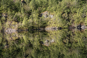 Reflection