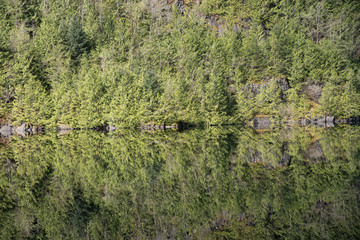 Reflection