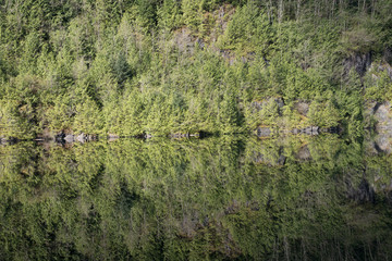 Reflection