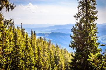 Winter mountains panorama with snowy peaks of Ukrainian Carpathians.