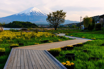Fototapeta premium Oishi garden park with Mt. Fuji at dusk