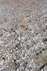 Beautiful unique city of Valencia in Spain