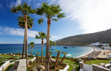 Panorama in Mykonos, Cyclades, Greece. Palm trees in foreground