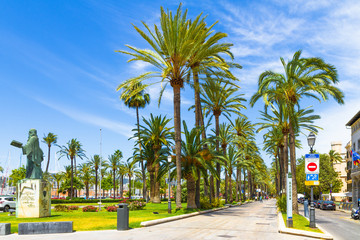 Palma Mallorca famous seaside palm trees promenade Passeig de Sagrera. © Stockphototrends