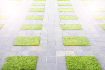Grass, sidewalk, walkway decorated with grass.