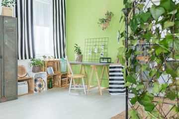 Green room with plants