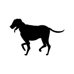 dog walking pictogram icon. vector illustration sign symbol on white background vector illustration