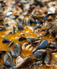 Cooking mussel soup