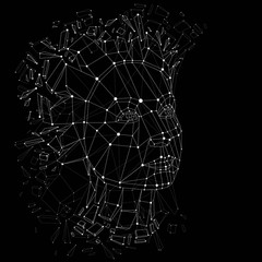 Obraz premium 3d vector illustration of human head created in low poly style. Face of pensive female, smart person. Intelligence allegory, artistic deformed wireframe object broken into splinters and fragments.