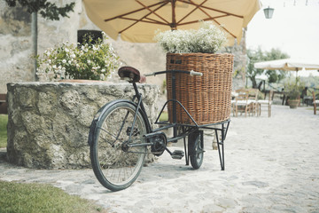 bicycle, street, road, summer, bike, city, sunset, ride, cyclist, lifestyle - obrazy, fototapety, plakaty