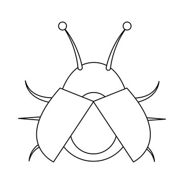 bug insect icon image vector illustration design  single black line