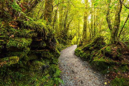 รูปภาพMilford – เลือกดูภาพถ่ายสต็อก เวกเตอร์ และวิดีโอ14,735 | Adobe Stock