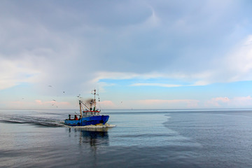 The fishing vessel seagulls escorted back to shore