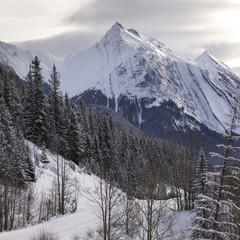 Snow covered mountain peaks, Jasper National Park, Alberta, Canada