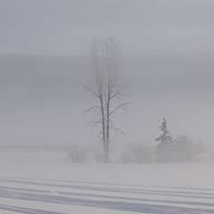 Snow covered road, British Columbia, Canada