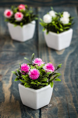 Fototapeta na wymiar Artificial Flowers in White Flowerpots on blue wooden background