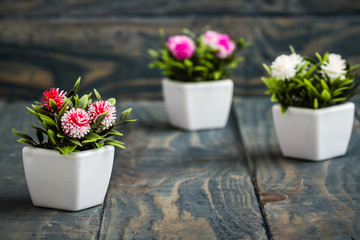Artificial Flowers in White Flowerpots