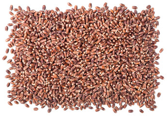 uncooked rye on white