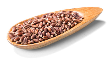 uncooked rye on white