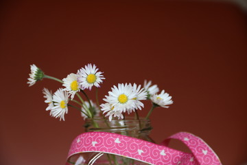 Gänseblümchen im Glas