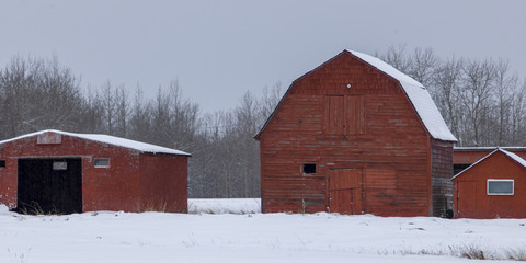 Snow covered farm buildings, Alberta, Canada
