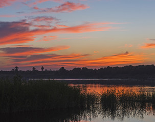 Obraz na płótnie Canvas Beautiful orange sunset sky over river with grass reeds