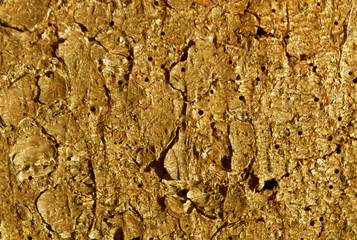 Orange toned pine tree bark pattern.