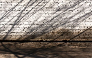 Tree shadows on grunge brick wall.