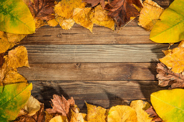 Naklejka na ściany i meble beautiful wooden background with autumn leaves