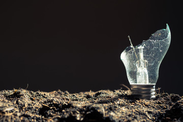 Broken Light Bulb