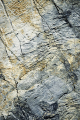 Abstract limestone stone detail