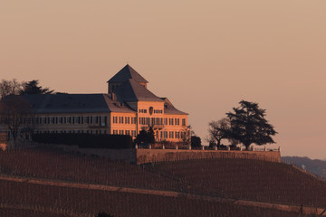 Schloss Johannisberg im Rheingau