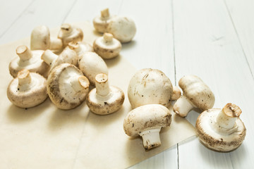 Freshly picked mushrooms champignons on a white wooden background.