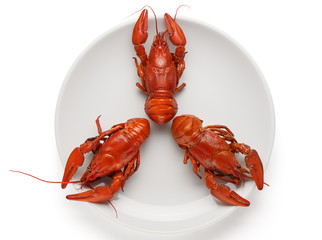 Three boiled crayfishes on white ceramic plate isolated on white