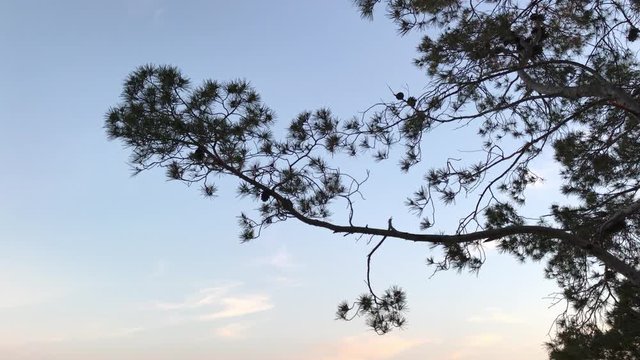 The beauty of nature, Cilento, Italy, 4K 