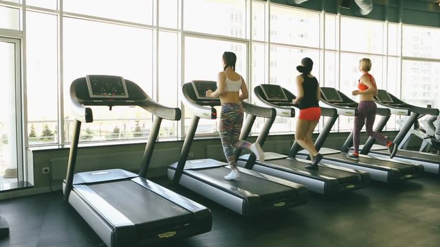 Three women are using treadmill in sports simulators. Back view