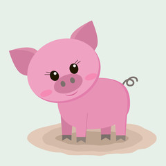 The pig is standing in a puddle.