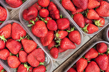 Punnets of strawberries