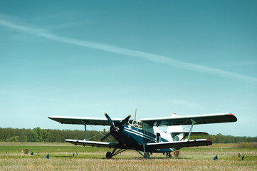 Small blue and white plane on a background of green grass and blue sky.