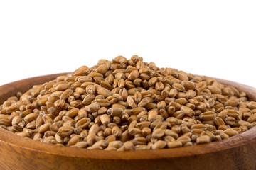 Wheat grain in bowl